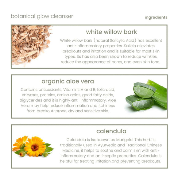 Botanical Glow Cleanser 120ml