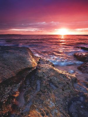 Cronulla home 300 x 400